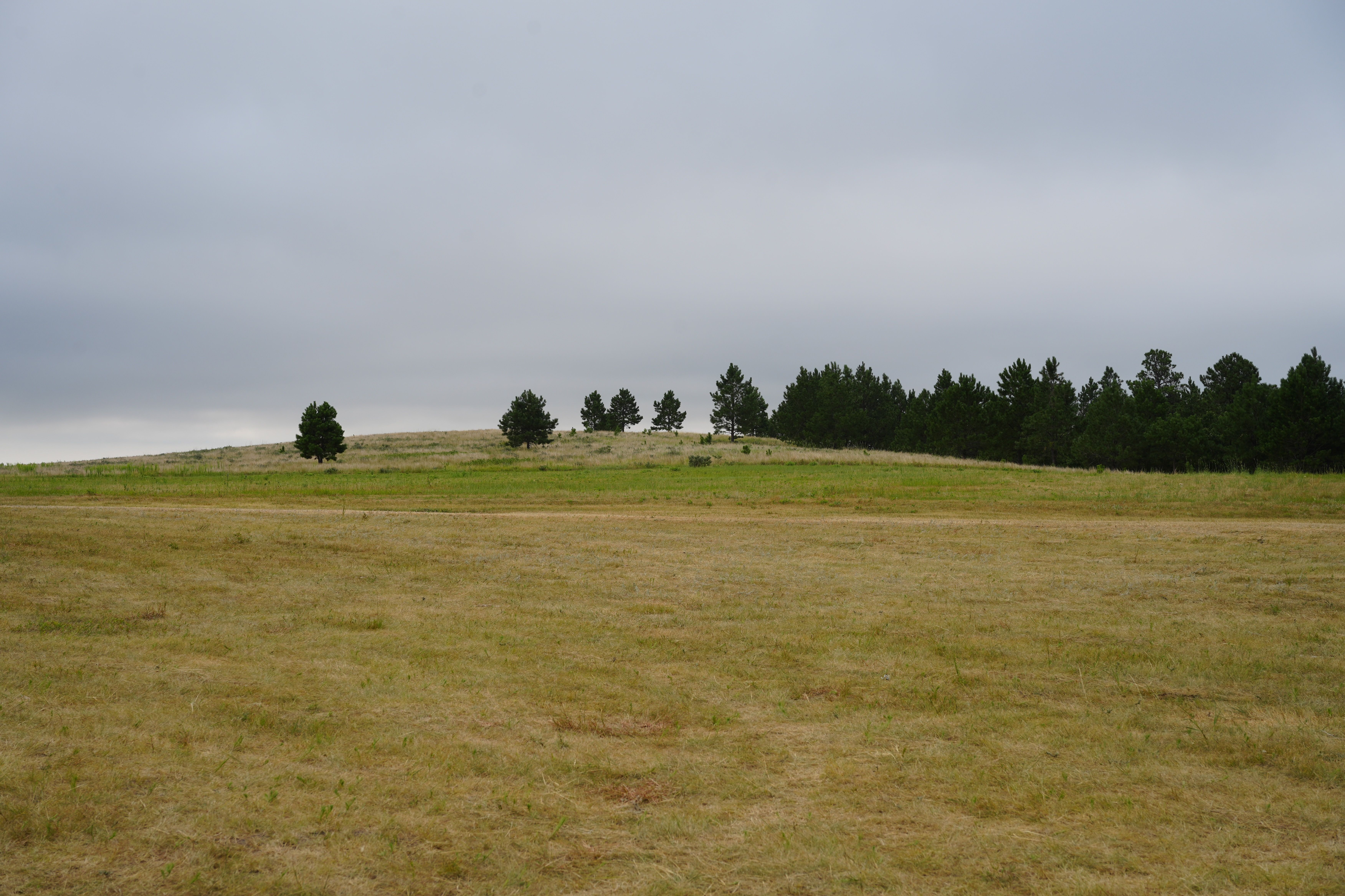 Sun Dance ceremonial grounds with tipis